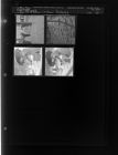 Snow Pictures (4 Negatives) (February 27, 1963) [Sleeve 65, Folder b, Box 29]